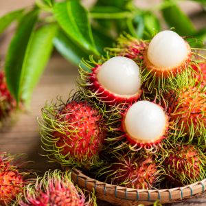 Rambutan